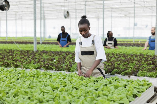 Quelle est la méthode idéale pour apprendre le folklore irlandais à Dublin ?