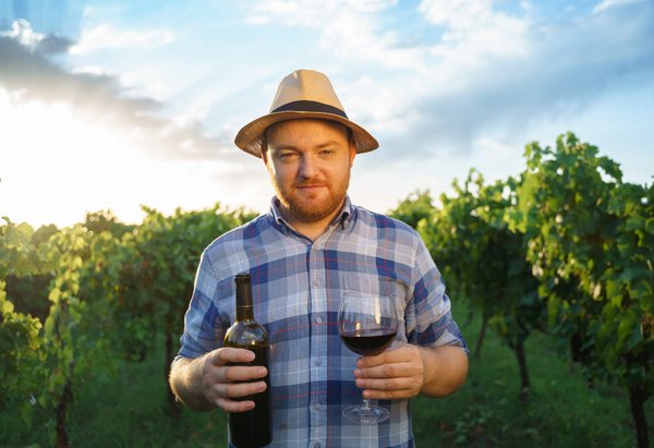 Domaine Martin : un voyage au cœur des vins de Rhône